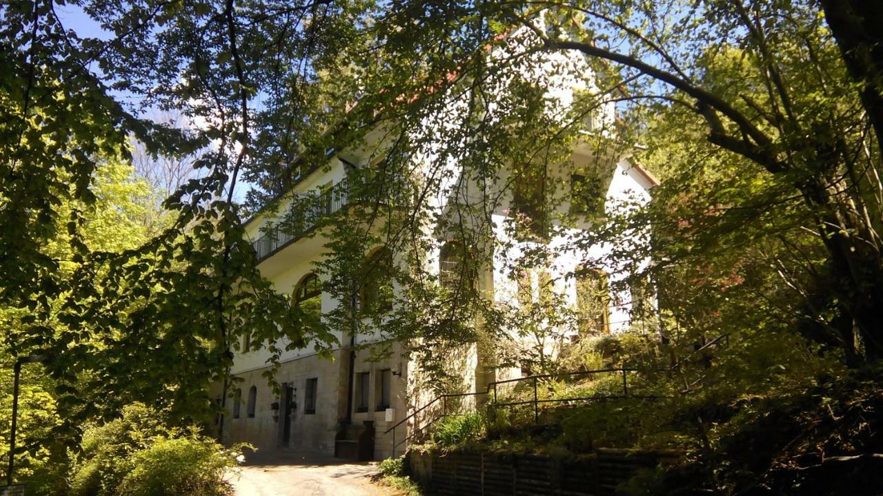 Pension/Bed And Breakfast Pangea Bad Lauterberg Eksteriør billede