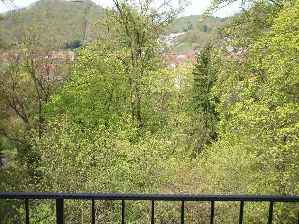 Pension/Bed And Breakfast Pangea Bad Lauterberg Eksteriør billede